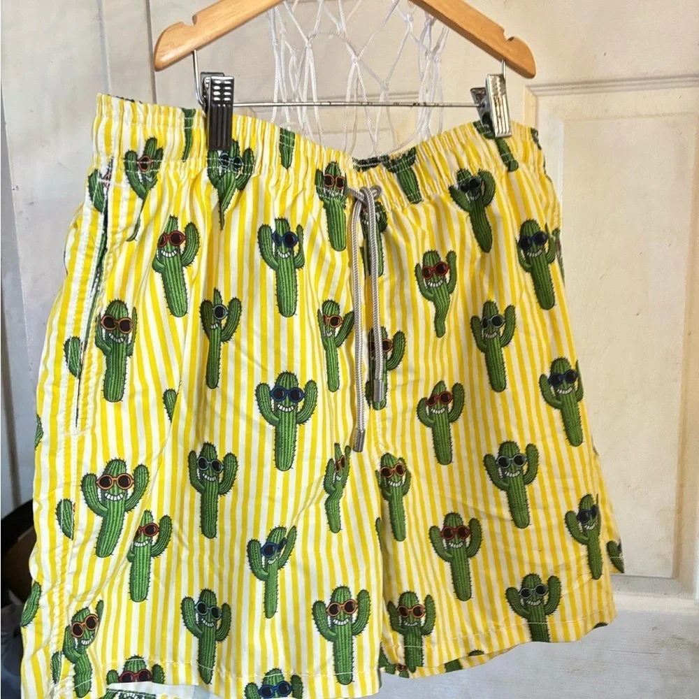 MC2 saint birth Cactus print swim shorts